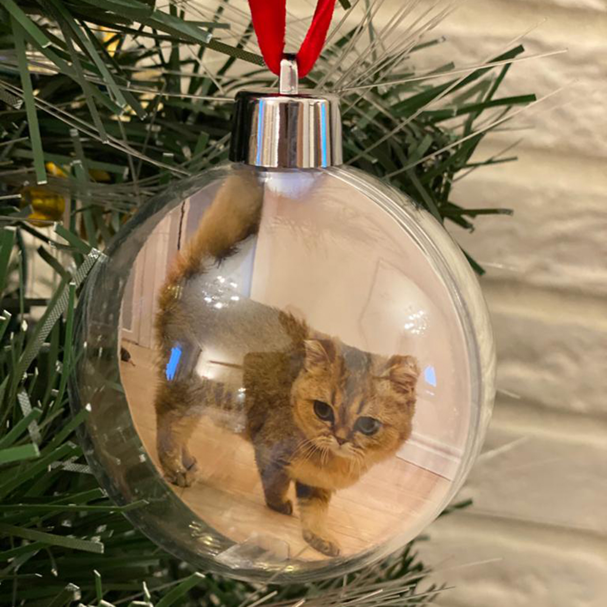 Елочный шарик (новогод. игрушки)